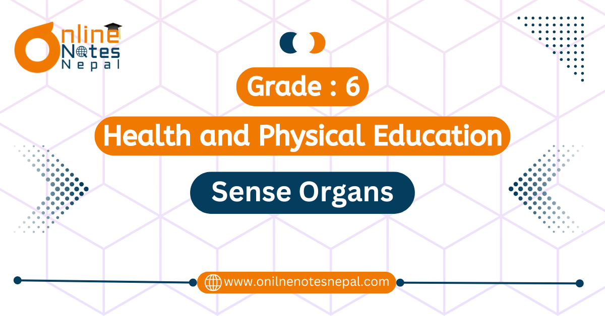 Sense Organs